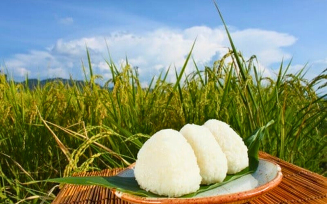 ＜定期便全３回＞ 令和7年産 真庭市産 ひとめぼれ 白米 10kg(5kg×2袋)×3回 / お米 岡山県 真庭市 白米 米 ひとめぼれ 人気 2025年産 【tkns-tkb004-cho】