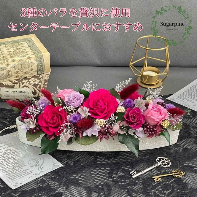 yʌtszAJ207-1 vU[uht[ yvW[/fB[vr[z ts VK[pC
