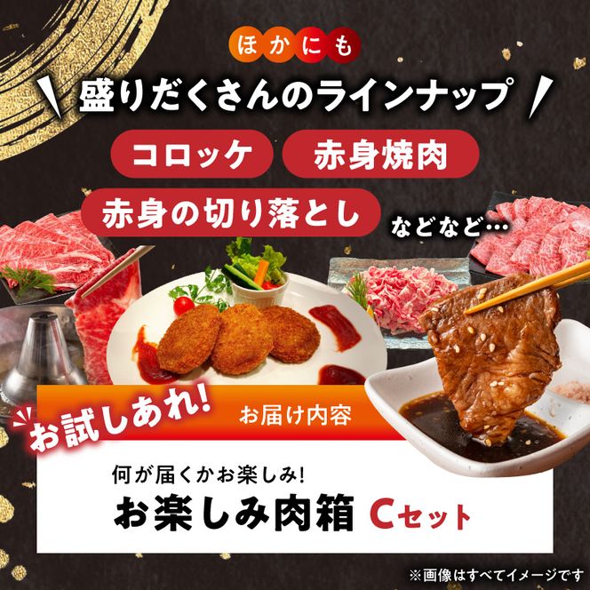 BN6137_お楽しみ肉箱 Cセット お試し ドキドキ 黒毛和牛 ハンバーグ ステーキ ロース ヒレ 焼肉 すき焼き しゃぶしゃぶ 盛り合わせ コロッケ ローストビーフ 食品 和歌山県 湯浅町 送料無料 