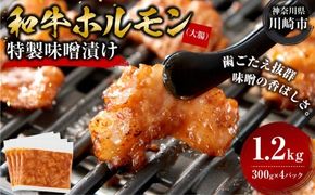 ホルモン 大腸 味噌漬け 1.2kg ( 300g × 4 ) 歯ごたえ抜群 小分け 使いやすい 味付き 調理便利 焼肉 野菜炒め ホルモン炒め 訳あり 不揃い 和牛 冷凍 配送時期が選べる 個包装 冷凍保存 アウトドア キャンプ おすすめ 人気