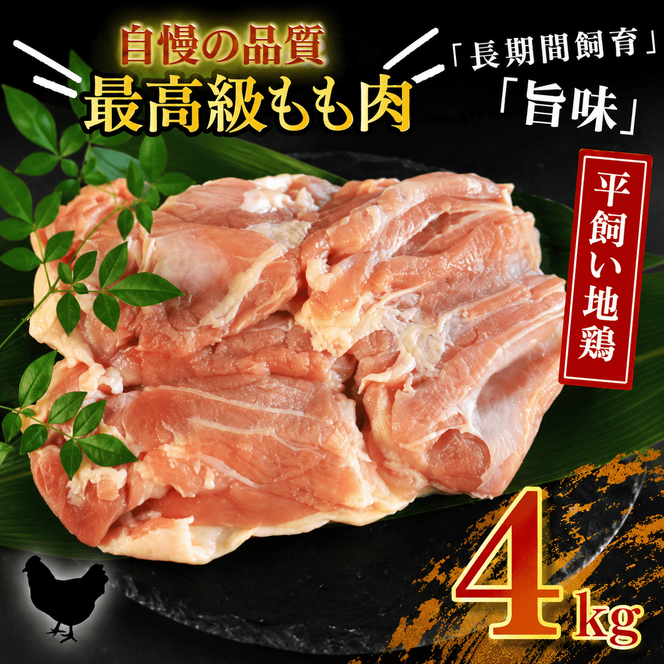 地鶏 愛媛 媛っこ地鶏 もも肉 約4kg 鶏肉 鳥肉 肉 チキン むね 焼肉 焼き鳥  BBQ 冷凍 国産 高級 タンパク質 低脂肪 糖質 唐揚げ チキン南蛮 サラダチキン スープ 出汁 愛南町 送料無料 ローカルスタンダード