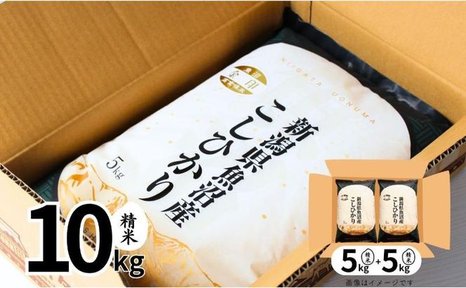 【定期便全6回毎月発送】魚沼産コシヒカリ金印(精米)10kg 米 こしひかり 定期 新潟 十日町市
