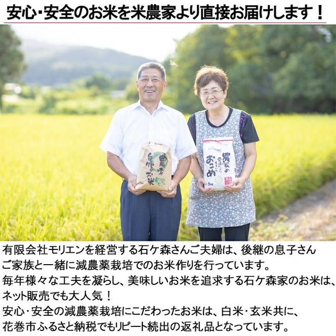 【12ヶ月定期便】減農薬栽培 ひとめぼれ 玄米 10kg（5kgx2袋） 【1113】