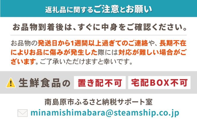 【12回コース】果物屋が選ぶ旬のフルーツ定期便 いちご メロン びわ みかん 梨 柿 など / 南島原市 / 贅沢宝庫 [SDZ023]