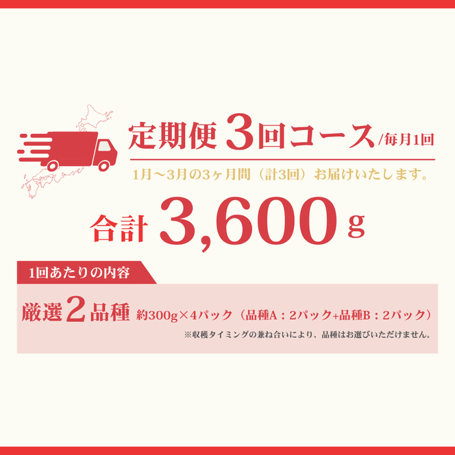 【定期便／3ヶ月連続お届け】何が届くかお楽しみ！人気のいちご2品種食べ比べ定期便 約300g×4P_HB0213