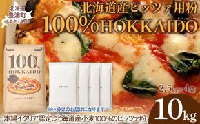 100% HOKKAIDO ピッツァ用粉 10kg TYUAI025