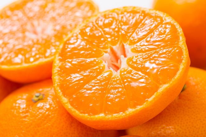 田村みかん/特選ギフト品10kg【Lサイズ】赤秀｜湯浅町田村地区産 産地直送 最高級 紀伊国屋文左衛門本舗