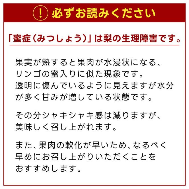 【先行予約】【数量限定】あい farm の梨 あきづき3kg (4～8玉) | 9月上旬より順次発送 梨 なし フルーツ 果物 新鮮 旬 梨園 益子町産 (DQ012)