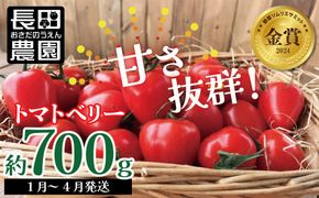 【2026年度予約分】【お試し】甘さ抜群!トマト嫌いでも食べられるトマトベリー 約700g（1月～4月発送） H004-125