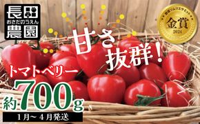 【お試し】甘さ抜群!トマト嫌いでも食べられるトマトベリー 約700g（1月～4月発送） H004-125