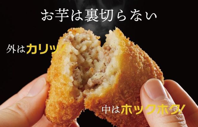 005A664 【特別規格】国産素材100％ 手作りコロッケ 合計15個【黒コロッケ 無添加 国産 惣菜 おやつ おつまみ お弁当 三代目コロッケ】