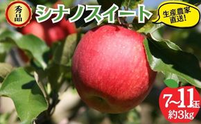 【2026年10月発送】シナノスイート 秀品 約3kg 7～11玉 りんご 果物 信州 長野