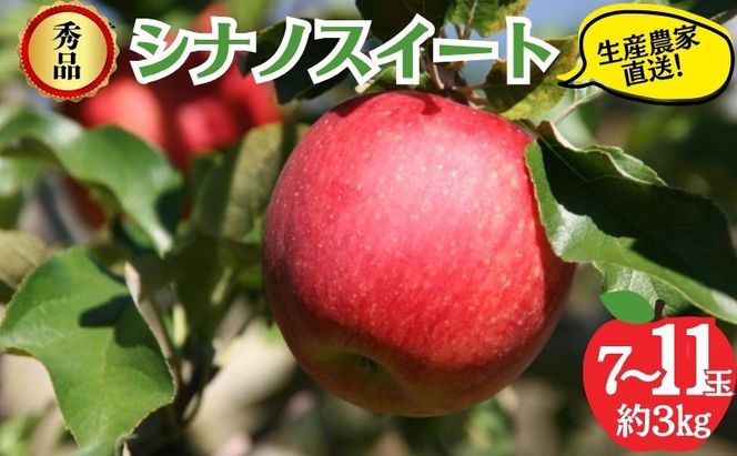 【2026年10月発送】シナノスイート 秀品 約3kg 7～11玉 りんご 果物 信州 長野