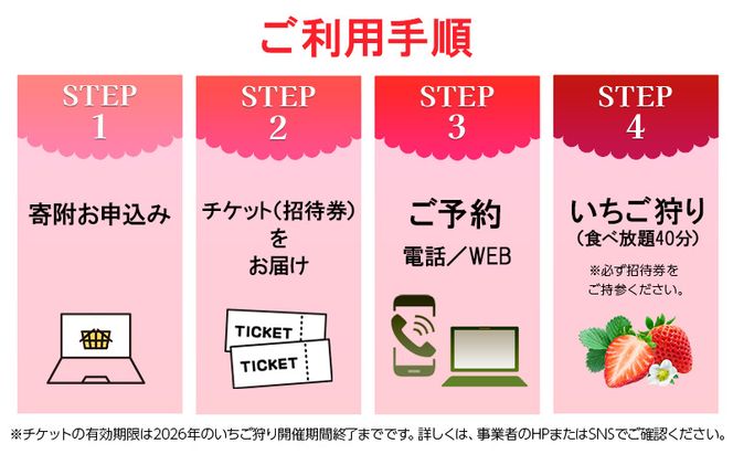 いちご狩り40分食べ放題 中学生以上1名 いちご狩り 食べ放題 40分 いちご イチゴ 苺 観光 レジャー 兵庫県 加西市