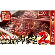 【志布志市人気No.1お礼の品】霧島湧水鰻の蒲焼き 160g以上×2尾＜計320g以上＞ a4-079