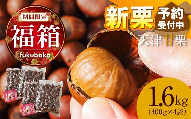 【福箱★2027】【先行予約10月下旬～11月中発送★新栗】この道50年の職人が焼く､やさしい甘みたっぷり！｢天津甘栗｣1.6kg H045-111