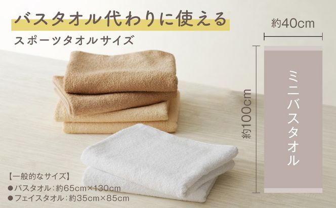 010B1124 【スピード発送】ホテルスタイル ミニバスタオル ６枚 ライトグレー ブルー ホワイト 40×100cm 【泉州タオル 国産 吸水 普段使い シンプル 日用品】