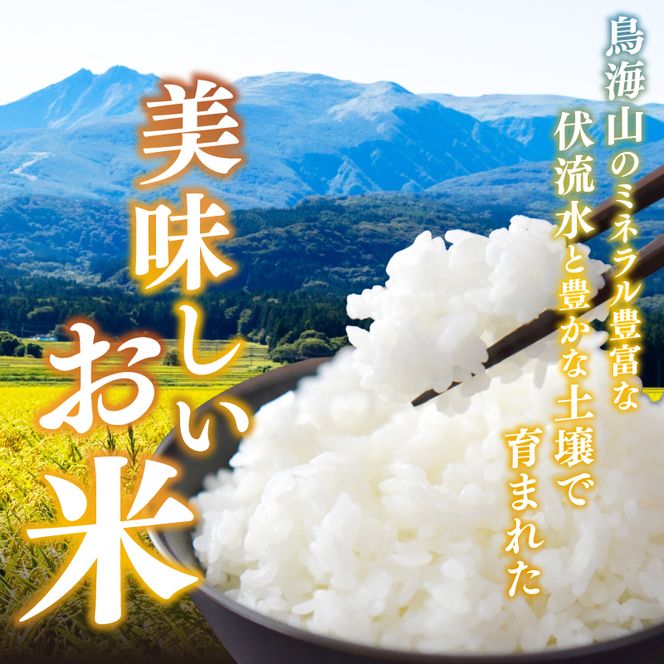 【新米先行予約 12ヵ月定期便】令和8年度産 ブレンド米 無洗米 5kg×12ヵ月  米 コメ お米 生活応援米 おこめ ご飯 ごはん 秋田県産 秋田 にかほ