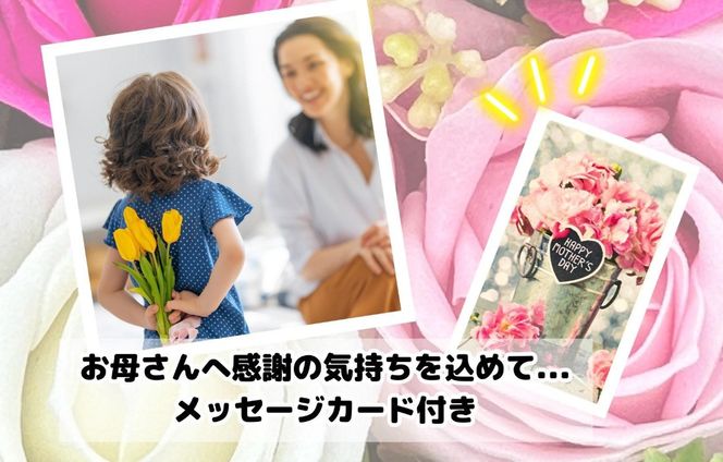 【母の日ギフト】ハウスみかん 温室栽培 夏の有田みかん 1kg 秀品 L M Sサイズのいずれか 和歌山県産 産地直送 【みかんの会】 AX359