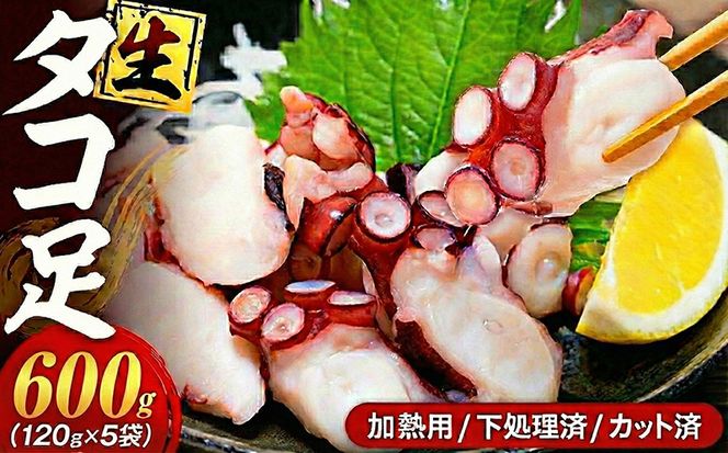 タコ 三昧 ( 120g × 5袋入 ) 冷凍 たこ足 タコ 蛸 小分け 真空パック 海鮮 新鮮 魚介 海の幸 海産物 刺身 国産 シーフードエム・エム 愛知県 南知多町