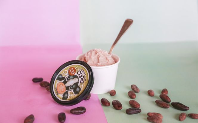 COPIO おまかせ アイスミルク 8個セット お菓子 