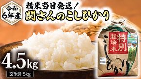 《 特別栽培米 》 令和6年産 精米日出荷 関さんの「 こしひかり 」 4.5kg ( 玄米時 5kg ) 新鮮 コシヒカリ 精米 米 こめ コメ 特別栽培農産物 認定米 [AM080us]