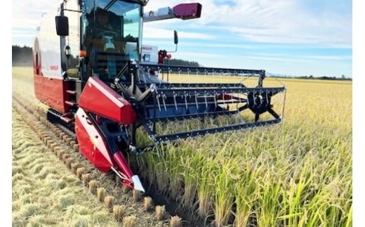 【先行予約】 米 令和8年 ななつぼし 玄米 30kg [JA新すながわ 北海道 砂川市 12260852] 令和8年産 お米 農協