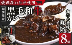 G1363-1 【期間限定】焼肉問屋いちよし 和牛カレー 180g×8個