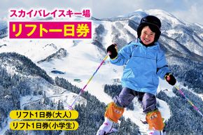 《12/28まで年内発送》スカイバレイスキー場リフト1日券（大人＋小学生）スキーチケット 体験チケット リフト券 スキー スキーリフト券 1日券 お礼の品 スキー場 一日券 スノーボード スノボ 兵庫県 冬 旅行 イベント 有効期限 2025/26シーズン終了まで 兵庫県 香美町 村岡 ユースランド 18-03