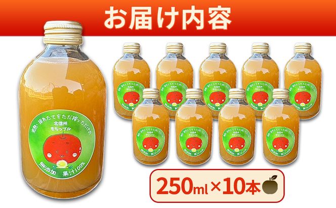 もちっプルのりんごジュース 果汁100% 250ml×10本りんごジュース ジュース 飲料 100%果汁 サンふじ 山ノ内町 もっちーの畑