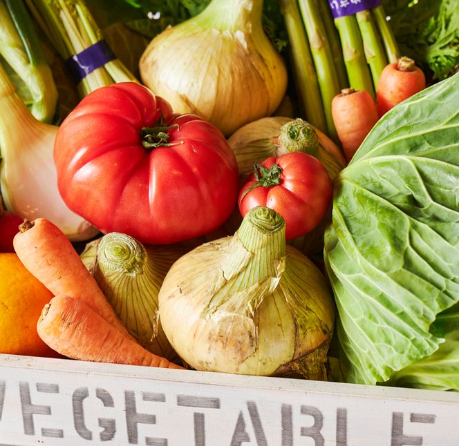 淡路島産野菜定期便1年【毎月下旬平日お届け】　野菜セット