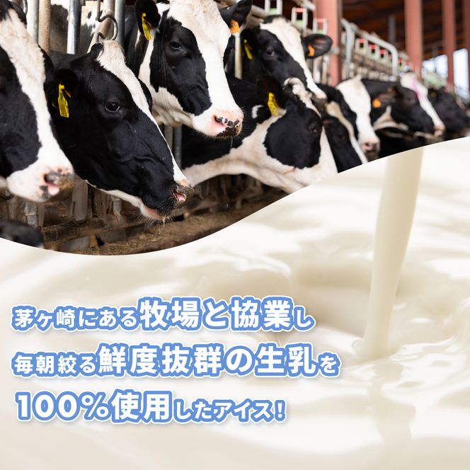 5ヵ月定期便 プレンティーズ バラエティアイスセット 5種10個 バニラ 生チョコレート ストロベリー クリームチーズ 茅ヶ崎しぼりたてミルク アイス アイスクリーム 氷菓 ひんやり お取り寄せ 送料無料 神奈川県 茅ヶ崎市