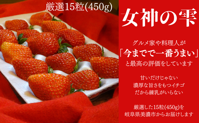 ＜先行予約＞【伊勢神宮おはらい町で3時間で完売】グルメ家が「今までで1番旨い」とうなったイチゴ【女神の雫】 2027年1月 2月 3月 4月 450g 岐阜県 美濃市 じゅん農産 2 苺 イチゴ いちご フルーツ