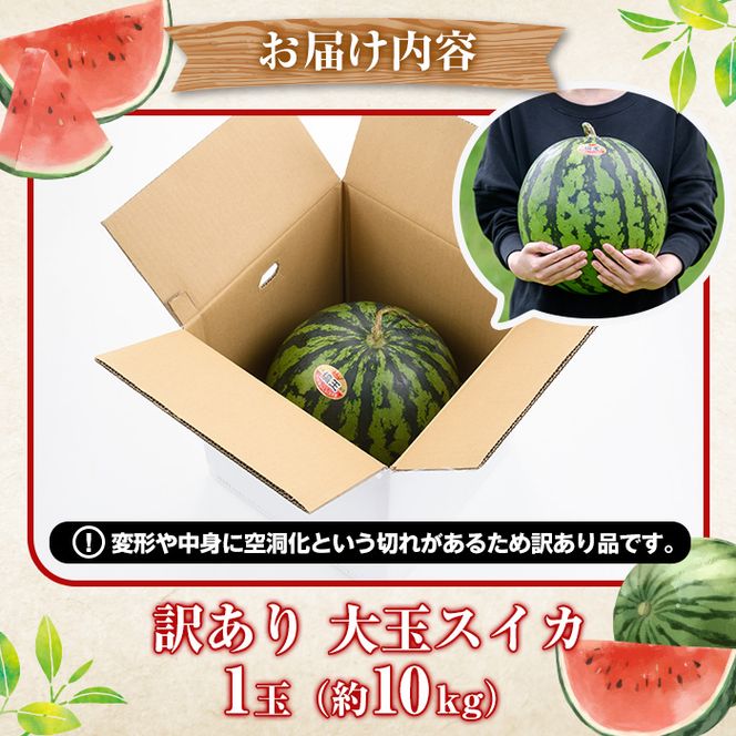 ＜先行予約受付中！2026年6月中旬以降順次発送予定＞追記訳あり！鹿児島県産 大玉スイカ(1玉・約10kg) 国産 果物 スイカ すいか 西瓜 フルーツ スイーツ スムージー ジュース【松永青果】akn053-21