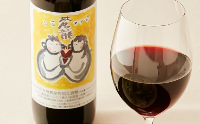 蒼龍葡萄酒　酸化防止剤無添加　蒼龍コンコード　赤　720ml　2本セット 【kw0134-0074】