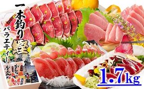 1本釣りかつおたたき・刺身バラエティー1.7Kg A6-139【1166304】