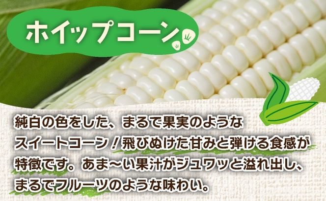  ＜先行予約＞北海道産 とうもろこし(恵味/ホイップコーン) 計10本【55250517】トウモロコシ とうきび イエロー ホワイト コーン スイートコーン 旬 野菜 ふじいファーム 北海道 伊達市