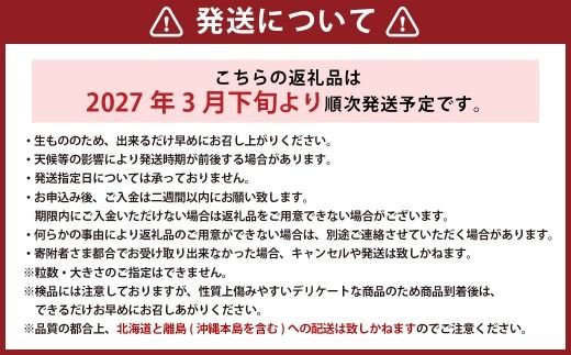 【訳あり】完熟あまおう 4パック 合計約1.1kg 【2027年1月上旬～3月上旬までに出荷予定】いちご 苺 イチゴ 果物 フルーツ