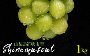 【2026年発送★先行予約】シャインマスカット 2房 1kg 山梨県笛吹市産 235-002-26y