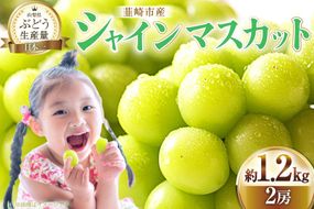 【2025年発送】ぶどう シャインマスカット 約1.2kg (2房)  【冷蔵発送】[梨北農業協同組合 山梨県 韮崎市 20742921] フルーツ 果物 くだもの ブドウ 葡萄 種なし 1.2キロ 甘い 期間限定 季節限定 山梨県産
