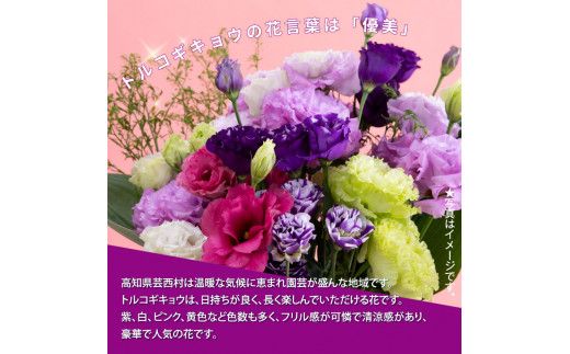 【CF-R7hbk】JJM005　《先行予約》芸西村特産 トルコギキョウ花束（約15本程度の花束）