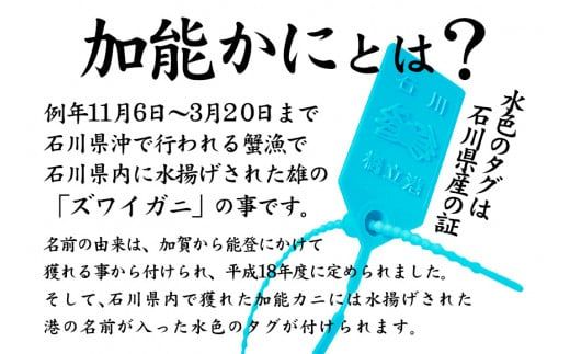 【1月11日～3月31日発送】石川県産 加能かに ズワイガニ ( 産地証明タグ付 ) 茹で上げ前重量 約900g 1匹 特大サイズ F6P-3460