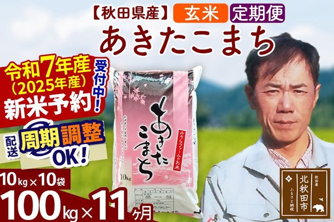 ※令和7年産 新米予約※《定期便11ヶ月》秋田県産 あきたこまち 100kg【玄米】(10kg袋) 2025年産 お届け周期調整可能 隔月に調整OK お米 みそらファーム|msrf-21711