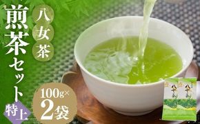 八女茶【 特上 】 煎茶セット 100g × 2袋 お茶 煎茶 緑茶 茶 飲み物 飲料 セット 常温 福岡県