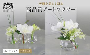 エミリオロバ　ユーチャリス2点セット　ユーチャリス3W24・S24  2点セット