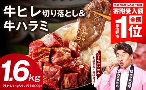 mrz0425-1 【スピード発送】牛ヒレ 1kg＆牛ハラミ 600g 合計1.6kg【氷温熟成×特製ダレ 味付き 訳あり サイズ不揃い 小分け】