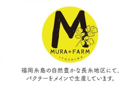 糸島産 パクチー 1kg （100g×10袋）  糸島市 / MURA FARM[AFD002] 国産 パクチー エスニック アジアン オーガニック野菜