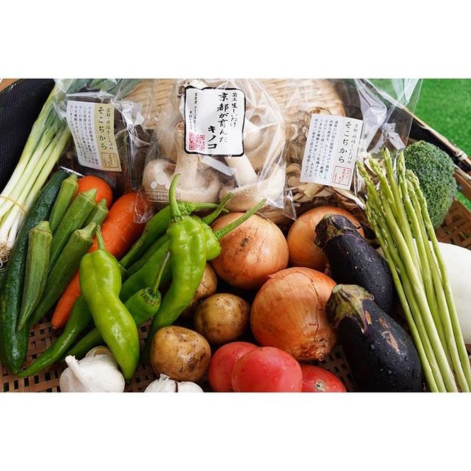 お野菜セット アビトルベジタブル+しいたけ 合計8～10品目詰め合わせセット 季節の野菜 旬の野菜 やさい 新鮮 産地直送 きのこ キノコ 産直 国産 京都 京都産 ※北海道・沖縄・離島への配送不可