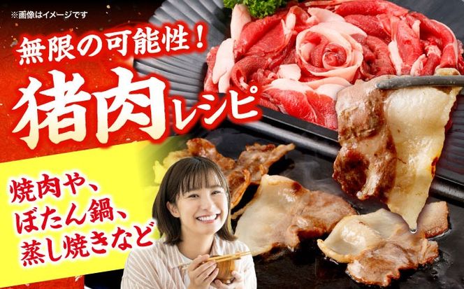 猪肉 スライス 1kg 雲仙いのしし / 肉 イノシシ ジビエ いのしし 焼肉 ぼたん鍋 切り落とし / 南島原市 / もりのめぐみ [SDB011]