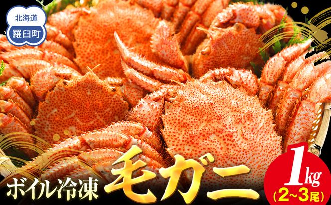 【先行予約/2026年4月発送開始】2026年産　ボイル冷凍毛ガニ　１kg　300g～500g　2～3尾 016942_AH263